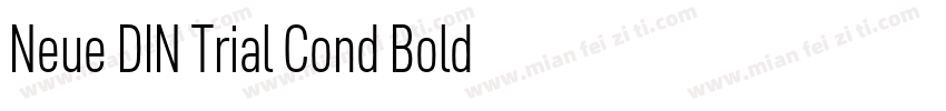 Neue DIN Trial Cond Bold字体转换